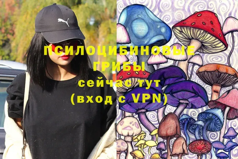 Псилоцибиновые грибы Psilocybe  кракен зеркало  Кораблино 